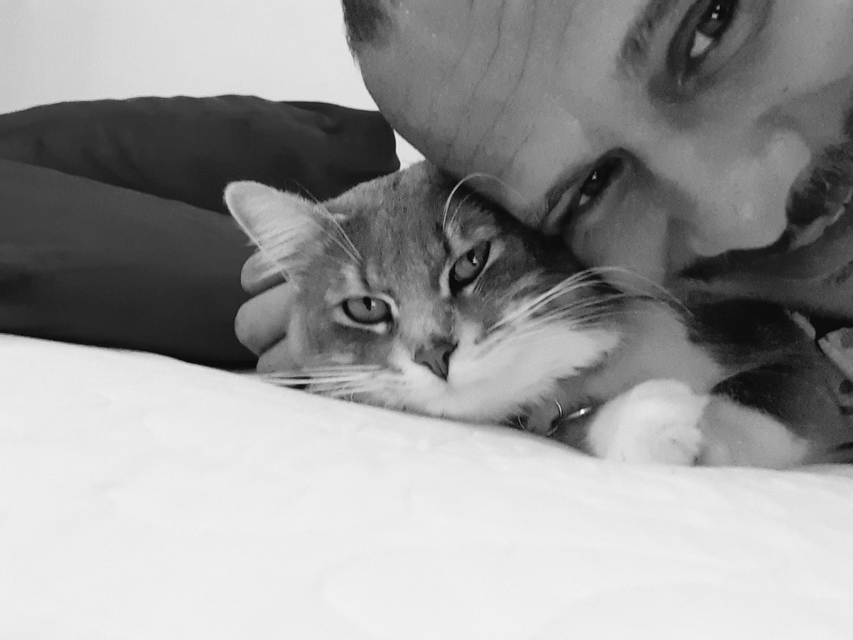 miltonjrrj's tweet photo. Meu pequeno bolota...amo mais que chocolate....🥰🥰🥰🥰🥰 https://t.co/94COFJRrP5