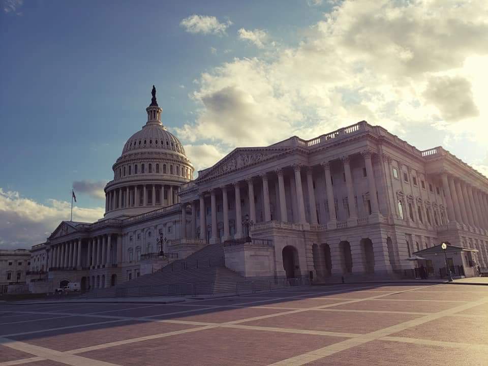 kat3thom's tweet photo. @RatnerLynn @realDonaldTrump @jasoninthehouse Here is a pic I took of the Capitol at the March on Washington in the summer. The city was full of BLM and antifa if you are confused. https://t.co/n5PEizLSkT