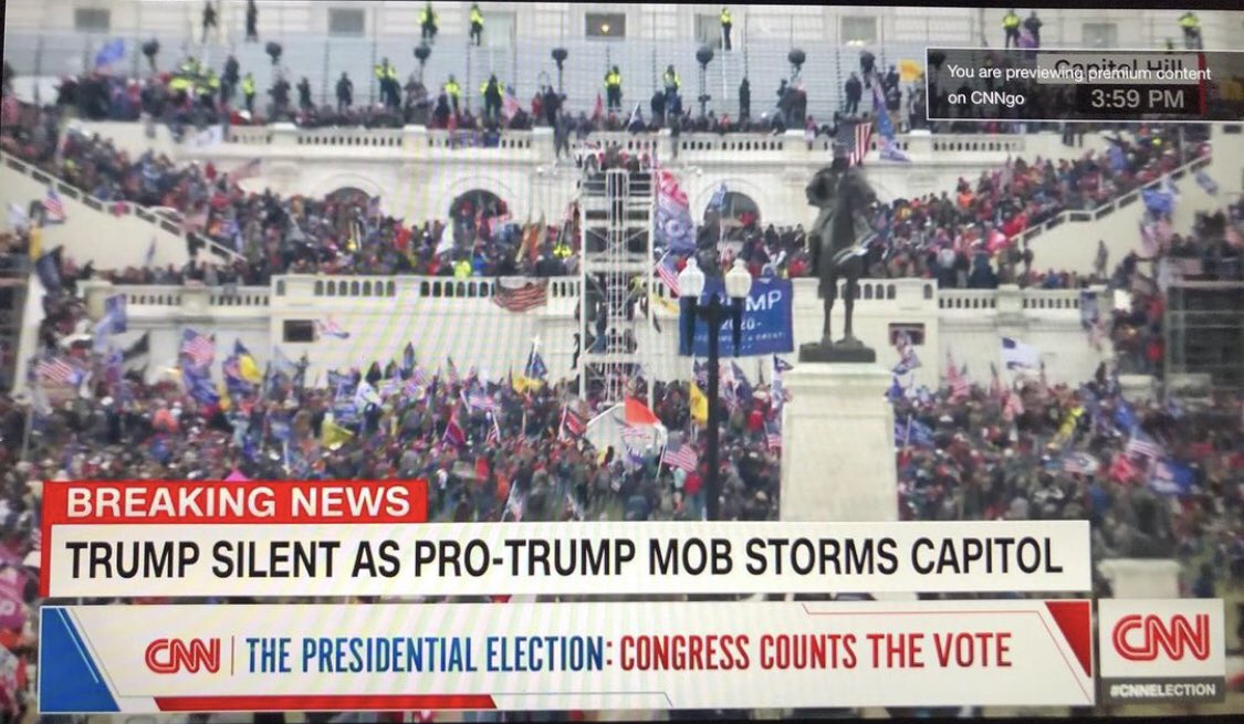 The Capitol has a huge termite problem and America is trying to treat it by nicely asking the termites to leave