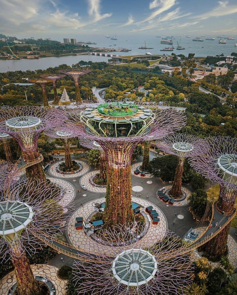 tmbIrpics's tweet photo. Singapore 🇸🇬 https://t.co/BM3Qe3FVFY