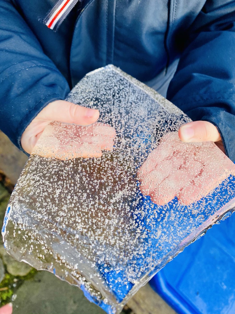 Wee Stems tweet media