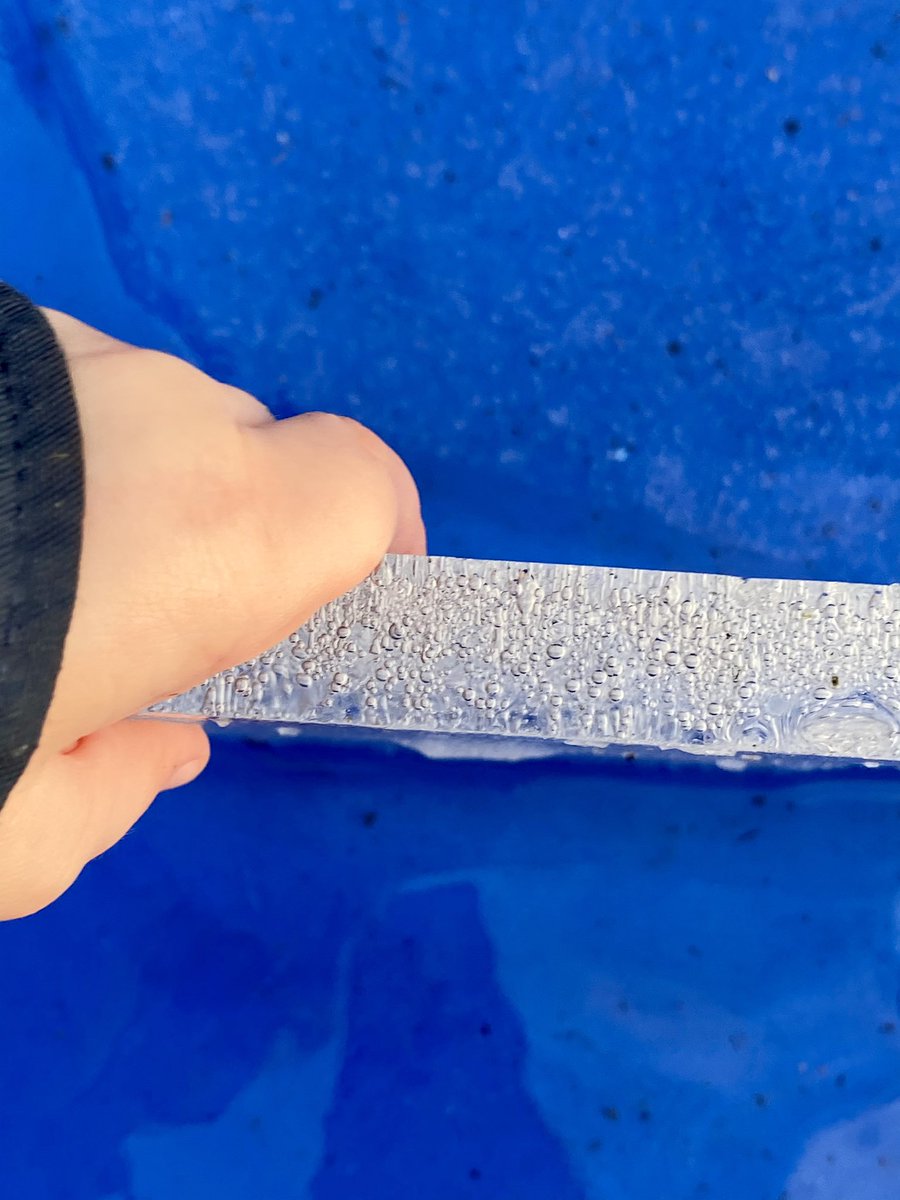 Wee Stems tweet media