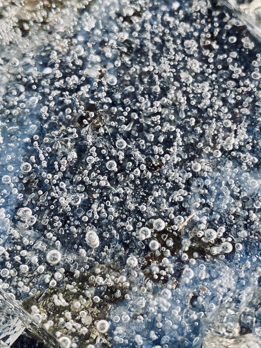 Wee Stems tweet media