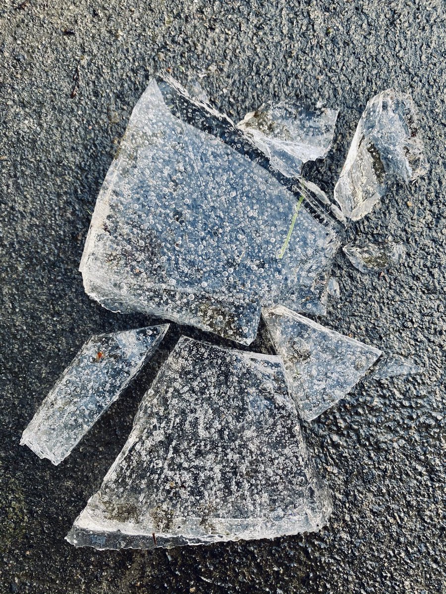 Wee Stems tweet media