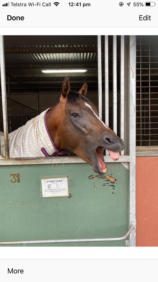 kevindavidthoma's tweet photo. @7horseracing https://t.co/EWKKrgzm5L