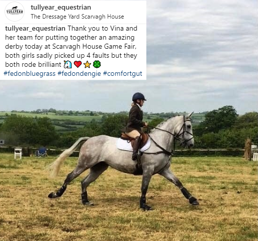 ComfortGutWorld's tweet photo. #ComfortGut can play a role in helping to maintain healthy gastric acid levels and can be fed long term without disrupting acid production which is required to break down food for proper digestion &amp; absorption of nutrients #horsechathour #emeraldbalms #equineblogger https://t.co/GMrRvcujkS