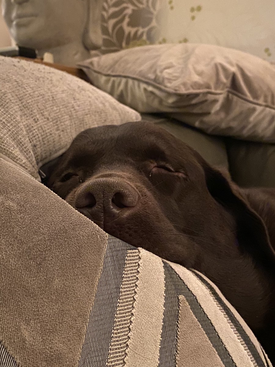 For the record I do not snore - that was the cat ..... (haven’t got a cat but the hooms might think it’s pawsible )😬🐾🐾
