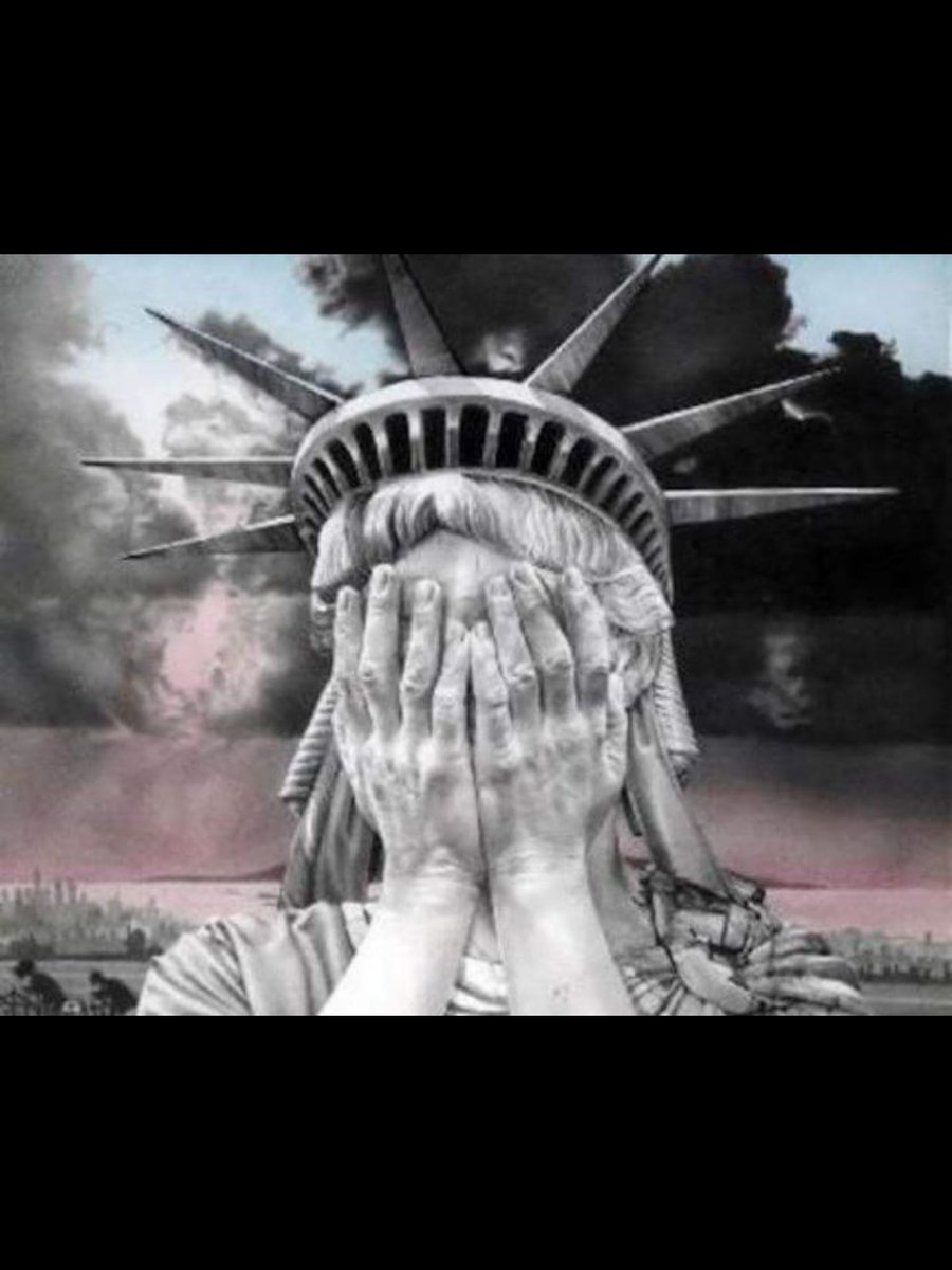 LeeAnnSmith16's tweet photo. @RepElaineLuria What has our country come to? https://t.co/0bAuKY4Uwk