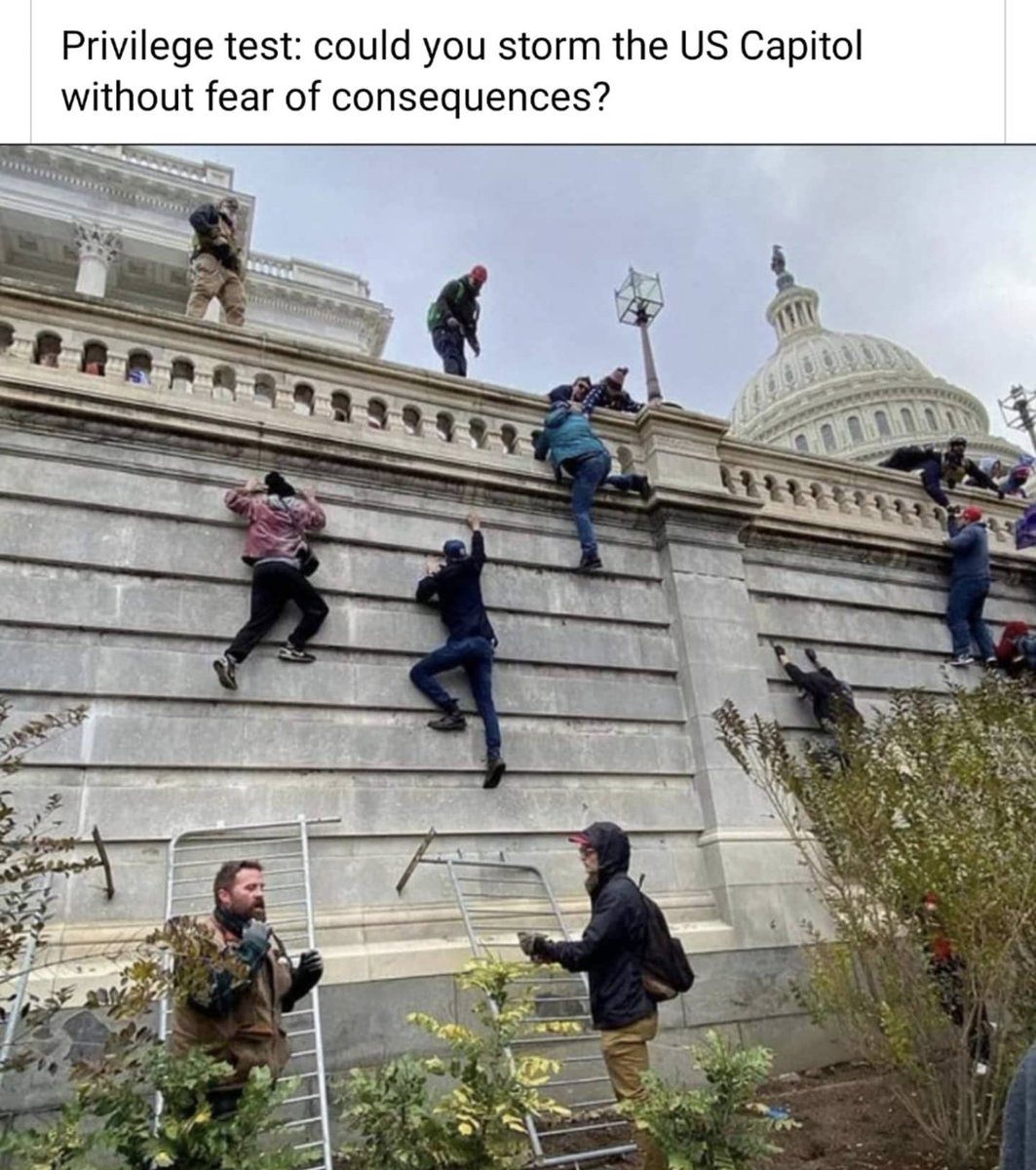 📸 instagram.com/p/CJuCXOch82A/