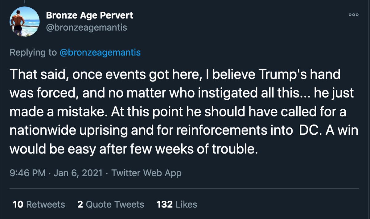 Bronze Age Pervert believes Trump "should have called for a nationwide uprising", and that "a win would be easy after few weeks of trouble" @TwitterSafety seemingly has no problem with this neo-Nazi pumping out incitements to race war to thousands of followers on a daily basis