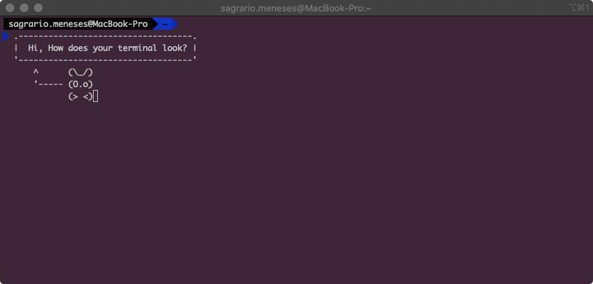 sagmmd's tweet image. 👀 Show me, how does your terminal look.

#ProgrammerSetup #SoftwareDeveloper #ProgrammerLife #SoftwareEngineer