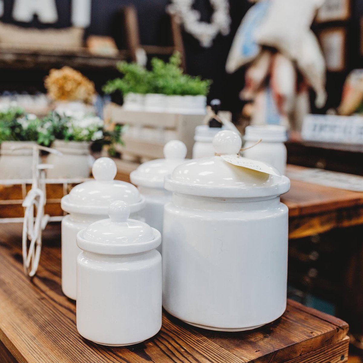 Antique_Trove's tweet photo. How about some country decor for the kitchen? 🪴 
~ dealer 67 #antiquetrove #antiquetroveroseville #shoproseville #antique #vintage #beoriginal #nevertheusual #oldisnew #homedecor #kitchendecor #country #cottagestyle #countrykitchendecor #farmhousedecor #farmhousekitchen https://t.co/1kE4UWXuhr