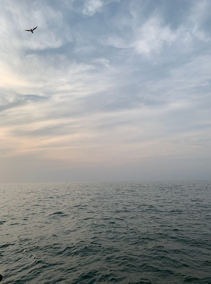 700Lake's tweet photo. Happy #WednesdayWaves!

“You can’t cross the sea merely by standing and staring at the water.” – Rabindranath Tagore

Want to make that gorgeous view of Lake Erie your new backyard? 

Contact us today: https://t.co/1qbTFf7hfA https://t.co/wbGRWzQqSo