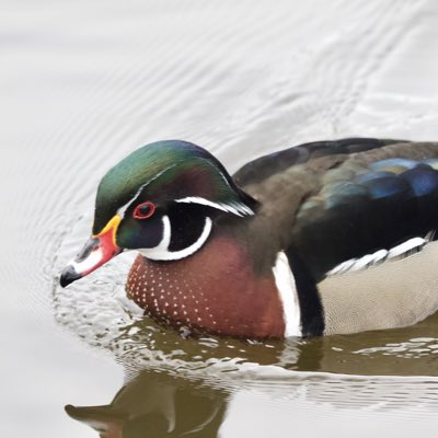 andy_willis_'s tweet photo. #NewProfilePic https://t.co/tT31emLnKZ