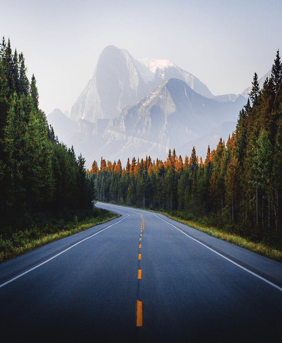 American Nomad tweet media