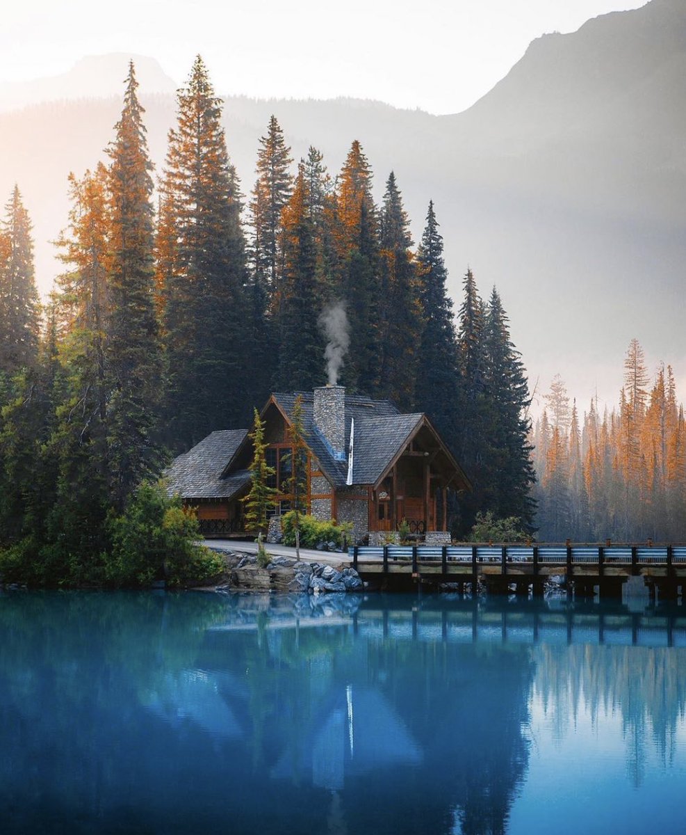 American Nomad tweet media