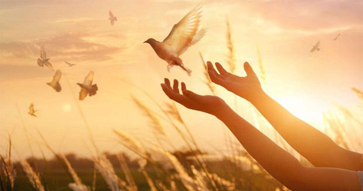 KENDİNE HOŞ GELDİN
buff.ly/2LseRos