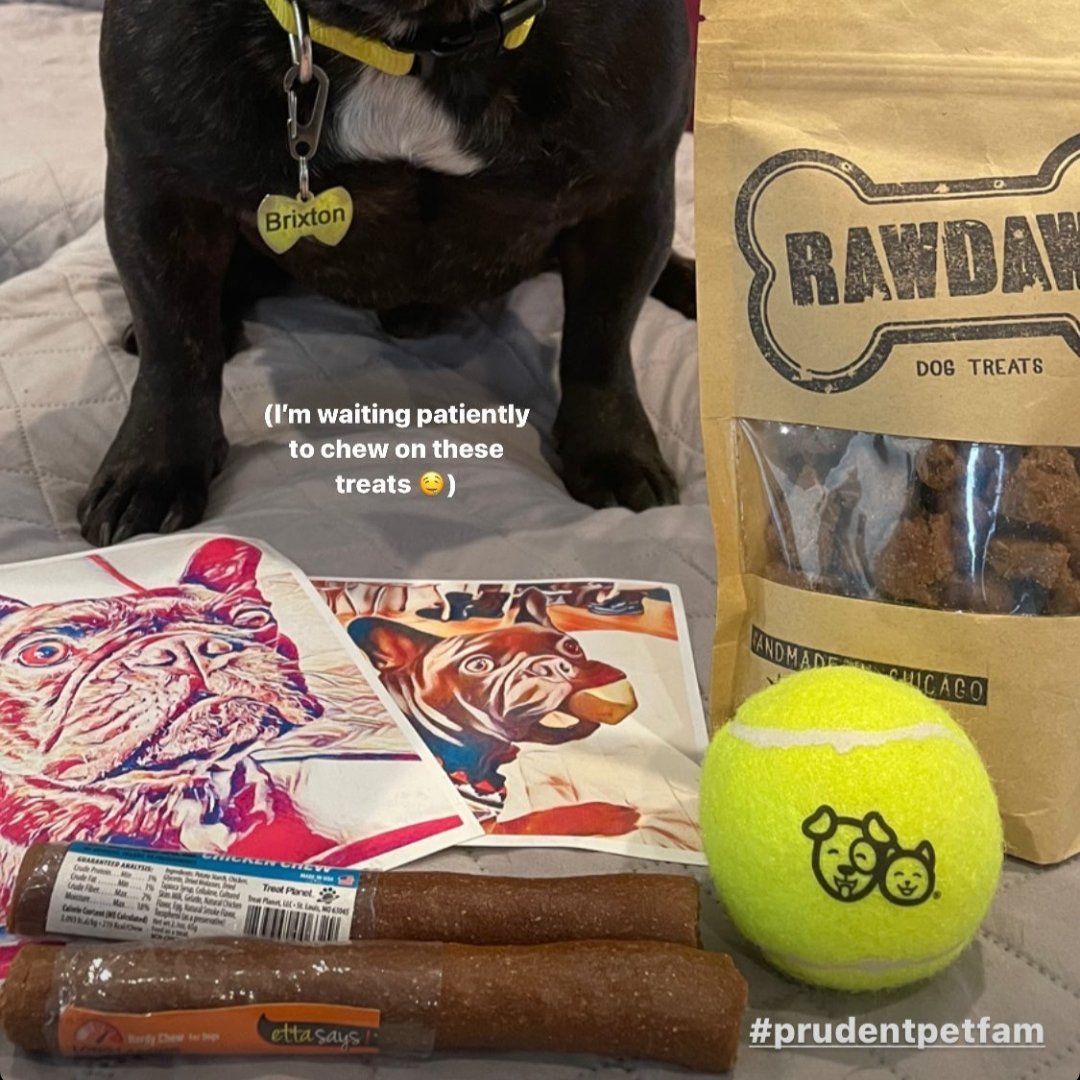 Thanks Brixton for sharing all your fun and yummy treats you received from us for winning one of our annual contests! #PrudentPetFam bit.ly/prudent-pet-in…