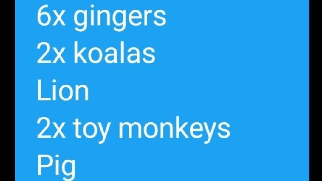v2x31's tweet photo. Selling all of these pets for paypal cash!

#adoptmetrading #adoptmetradings #adoptme #Adoptmetrade #adoptmeoffers #Adoptmetrades #adoptmeoffer #adoptmetraders #adoptmetrader #AdoptMePets #adoptmeoffering https://t.co/LZVCjFNp5R