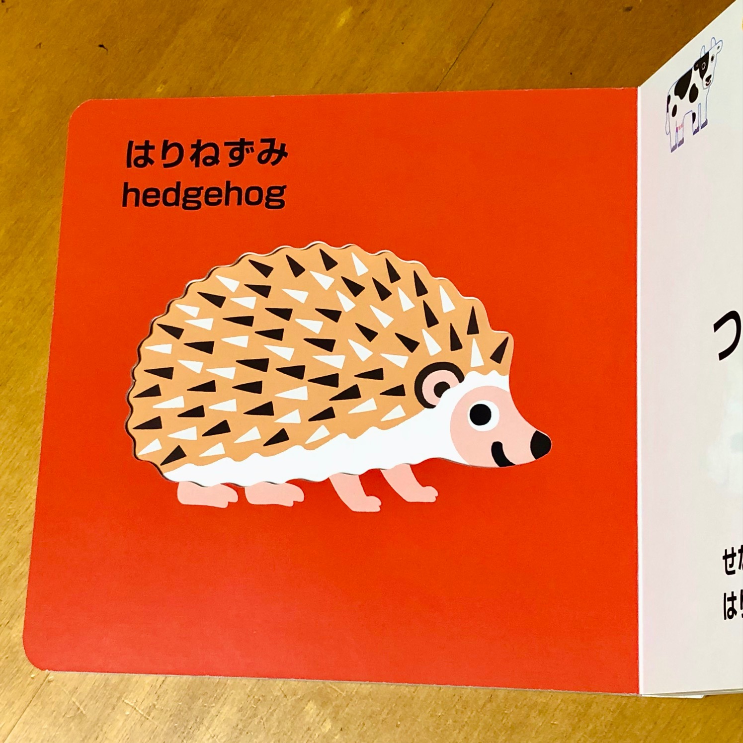 どうぶつもようでかくれんぼ Amazon.co.jp: どうぶつもようでかくれんぼ (これなあに?か