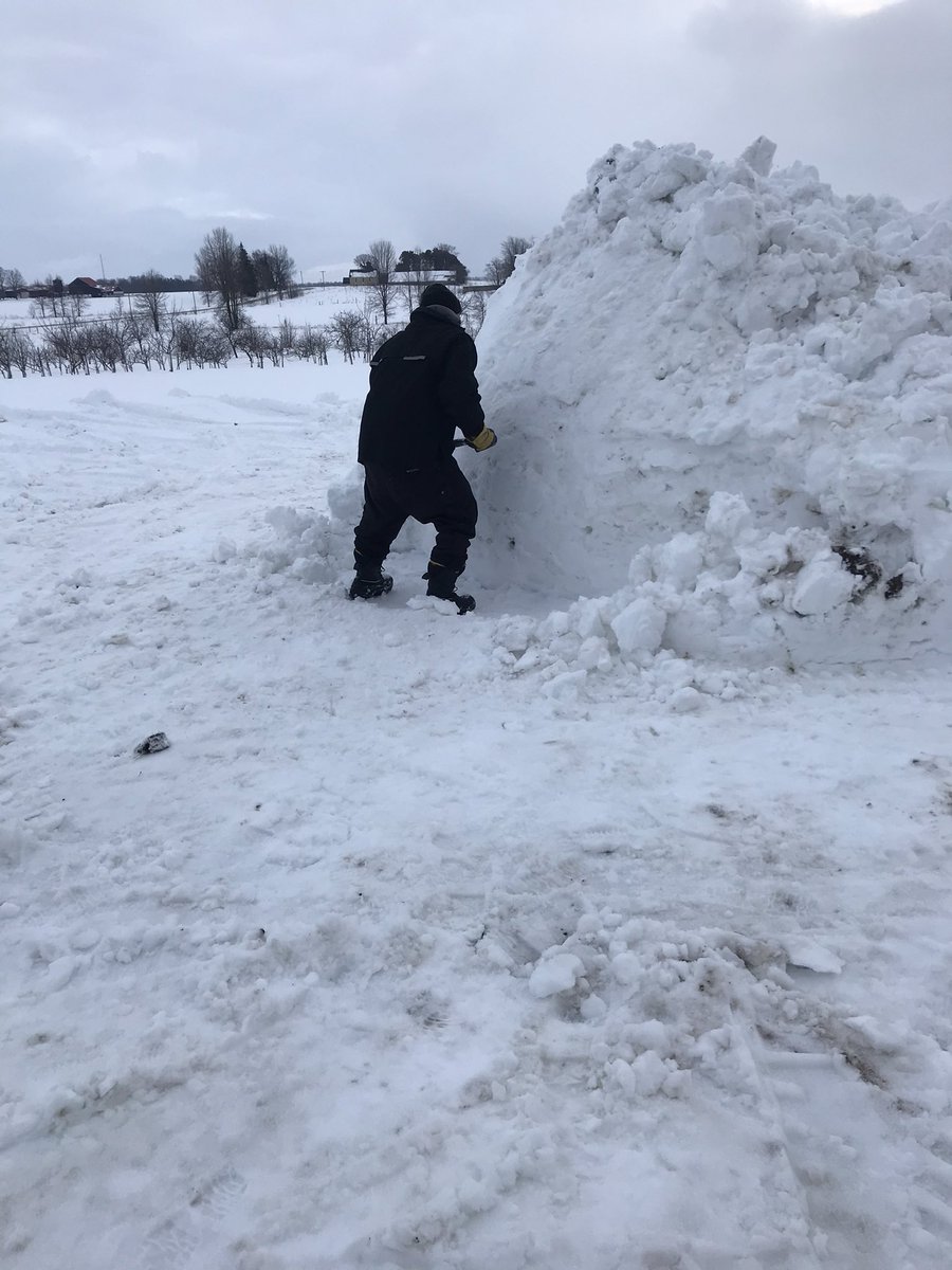 Come on! let’s get this #snowmanchallenge on! Or it may be a #snowoman “ we will need a name” @BTtoronto  <a href="/FrankFerragine/">Frankie Flowers</a>  <a href="/DinaPugliese/">Dina Pugliese-Mirkovich</a>