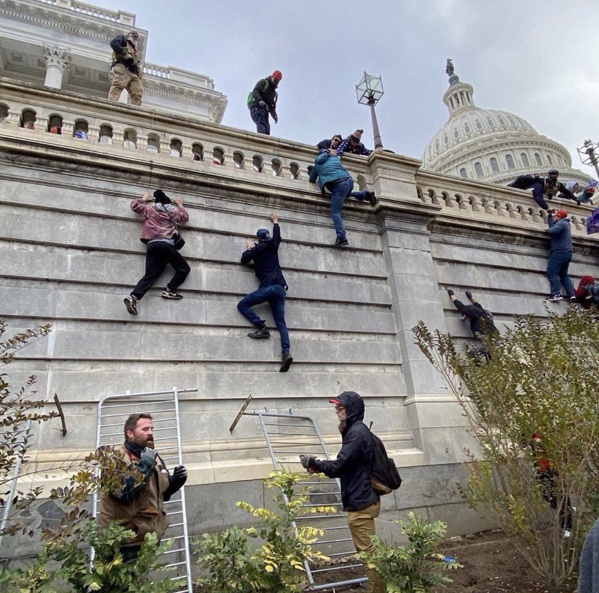 teleSUR English tweet media