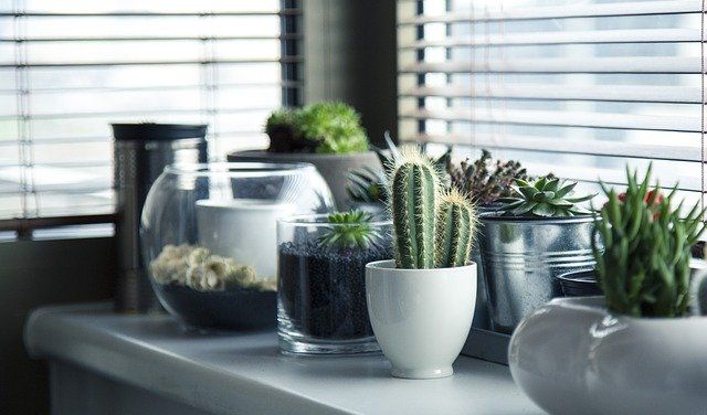 Sprucing Up Your Place Without Breaking the Bank: buff.ly/3hN0abF #money #decor