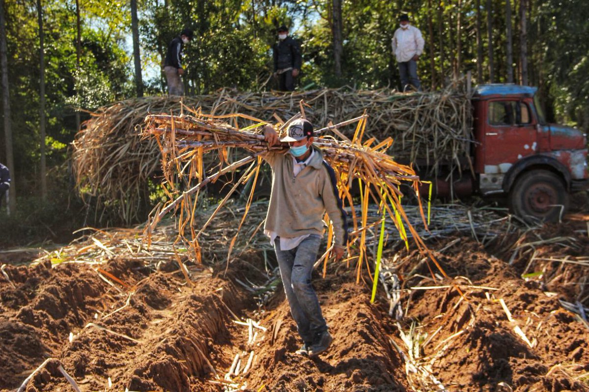 Petropargov's tweet photo. Comunicamos con mucha satisfacción que la Planta Alcoholera de M.J. Troche culmina una zafra histórica con 400.000 toneladas de caña de azúcar molida y más de 23.500.000 litros de alcohol.
Más de 30.000 familias beneficiadas en el desarrollo de la #ZAFRA2020 
#PetroparÑanembae https://t.co/ApaQSBczwx