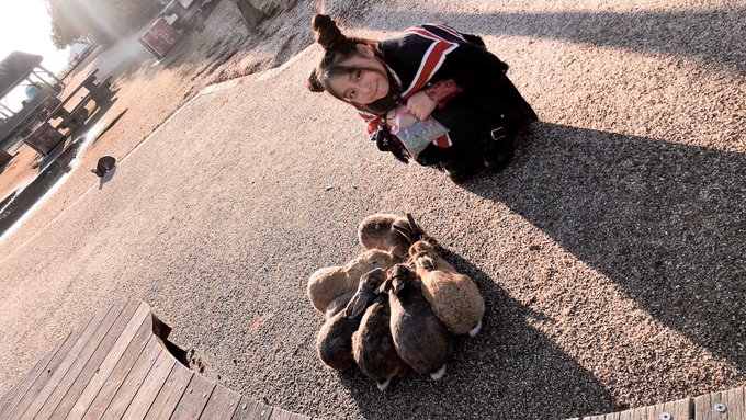 Twitterのコスプレ画像2