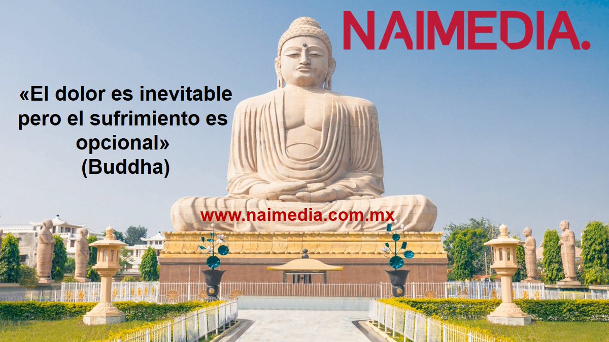 NAIMEDIA_'s tweet photo. @carlosanguianoz @NancyAlatorre_ @mesadedialogo13 https://t.co/9QFRrvlDzX