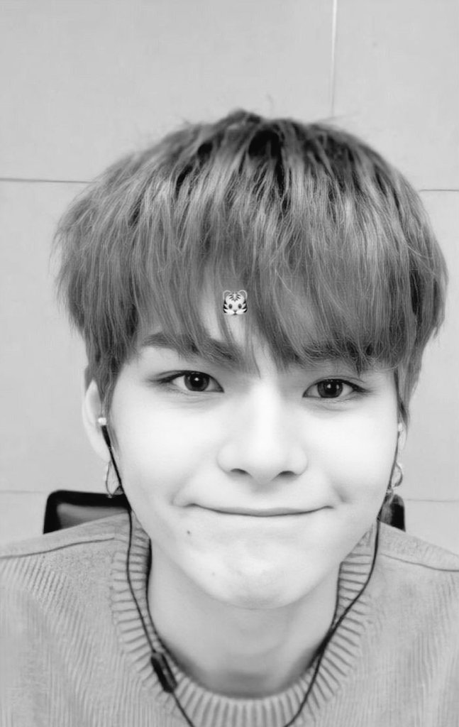 novaaoci's tweet photo. "Vaa"
"Apa ocii?"
"Mrie kita bervc"
"Mrie mniez,tpi aku lgi gpake hijab"
"Ydh make selimut"
"Ayayay captain"

#TMSD #TreasureMakerSelcaDay #YOSHI @treasuremembers https://t.co/MUszH5iks4