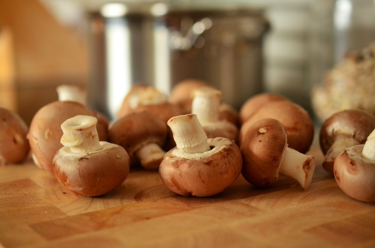 prolonfmd's tweet photo. Mushrooms are a great source of Vitamin B. That is why we included mushroom soup in our ProLon FMD Original Flavors box.
#prolon #prolonfast #dietplan https://t.co/MZf0y3vTVa