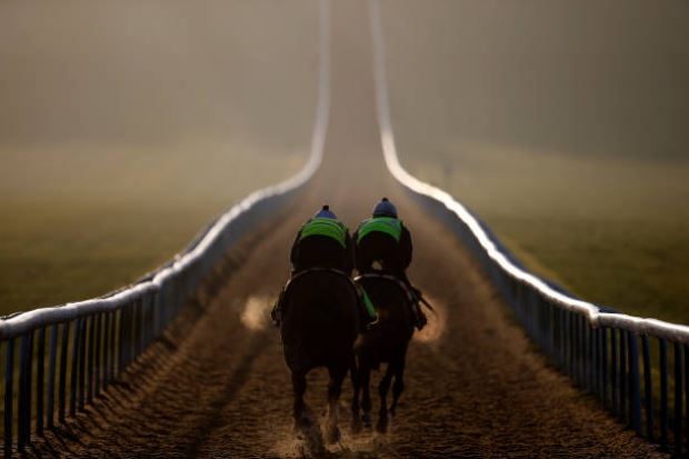 Newmarket ...where else