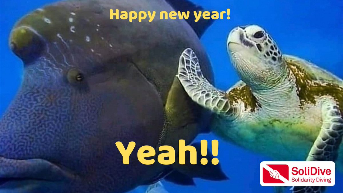 SoliDive (@solidive) on Twitter photo 