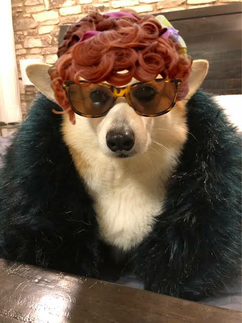 Portia Featherington