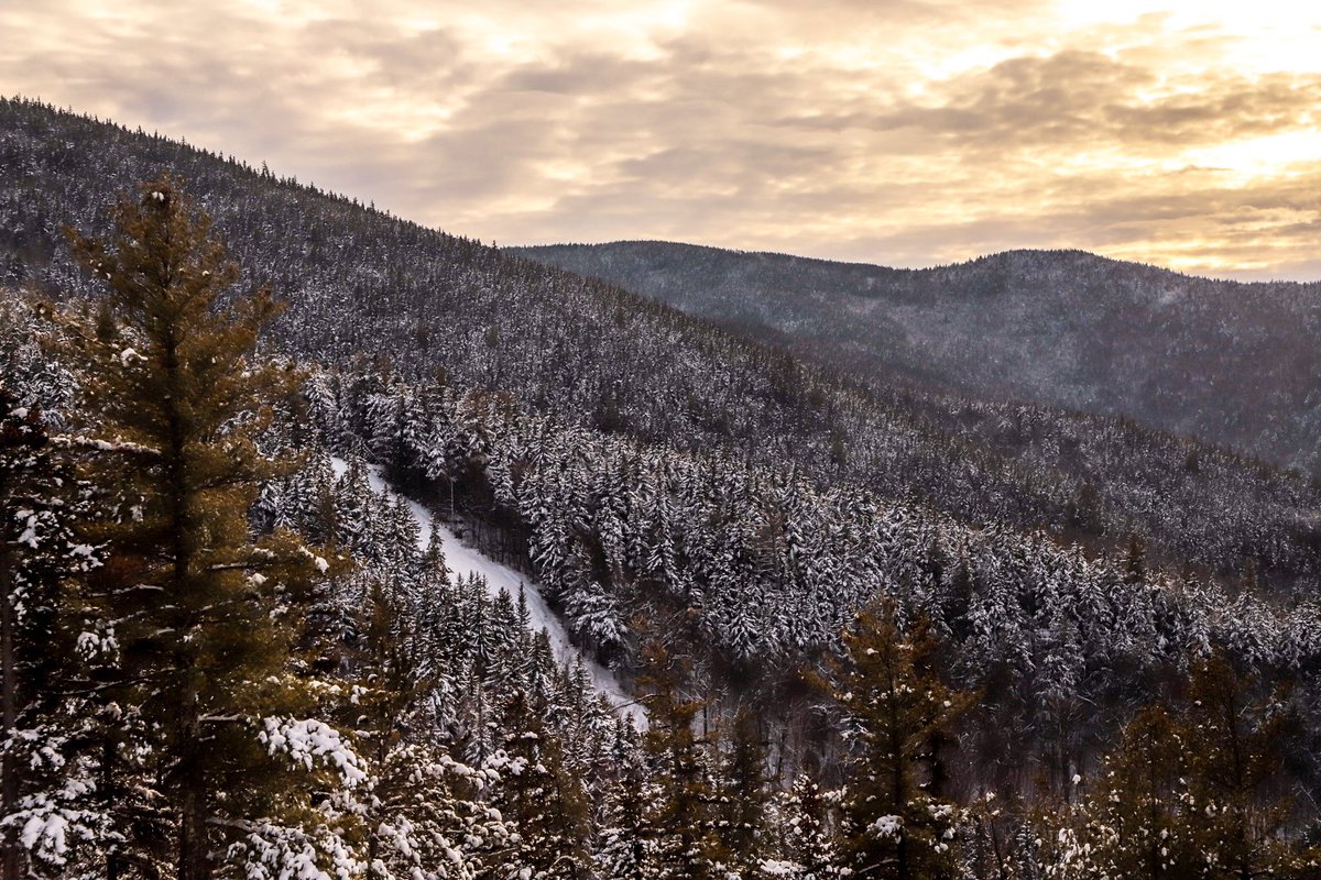 Attitash Mountain tweet media