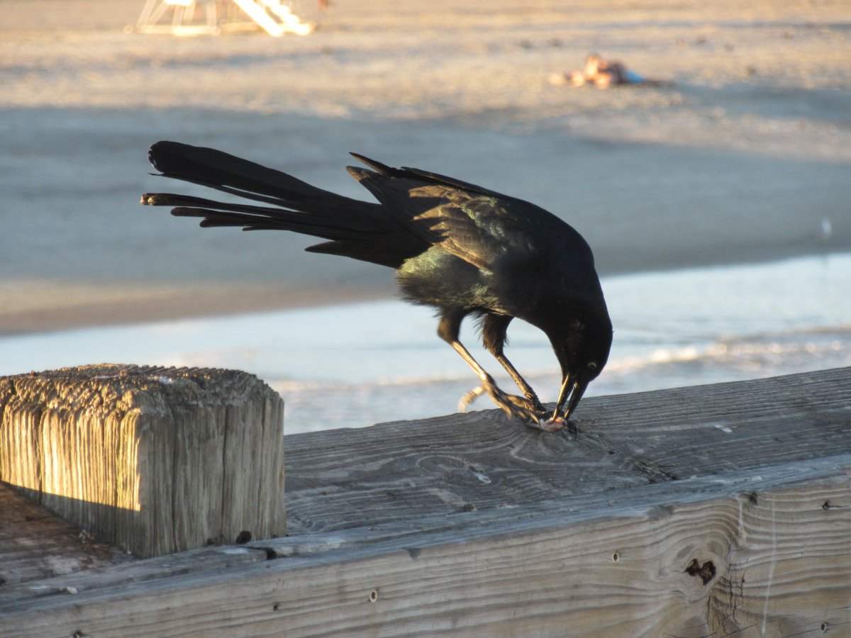 brb dinner (this image isnt unsplash. this ones mine)