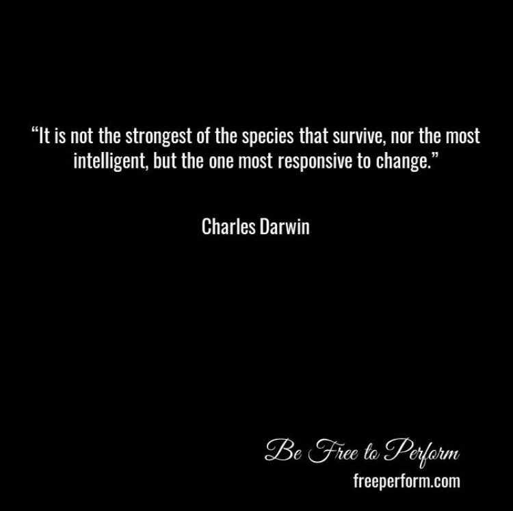 freeperform's tweet photo. #performanceflow #masteringflow #artisticblock #performanceanxiety #creativeblocks #performance #stagefright #sportspsychology #performancepsychology https://t.co/Z9KsaVkL4A https://t.co/aZatRbdG34