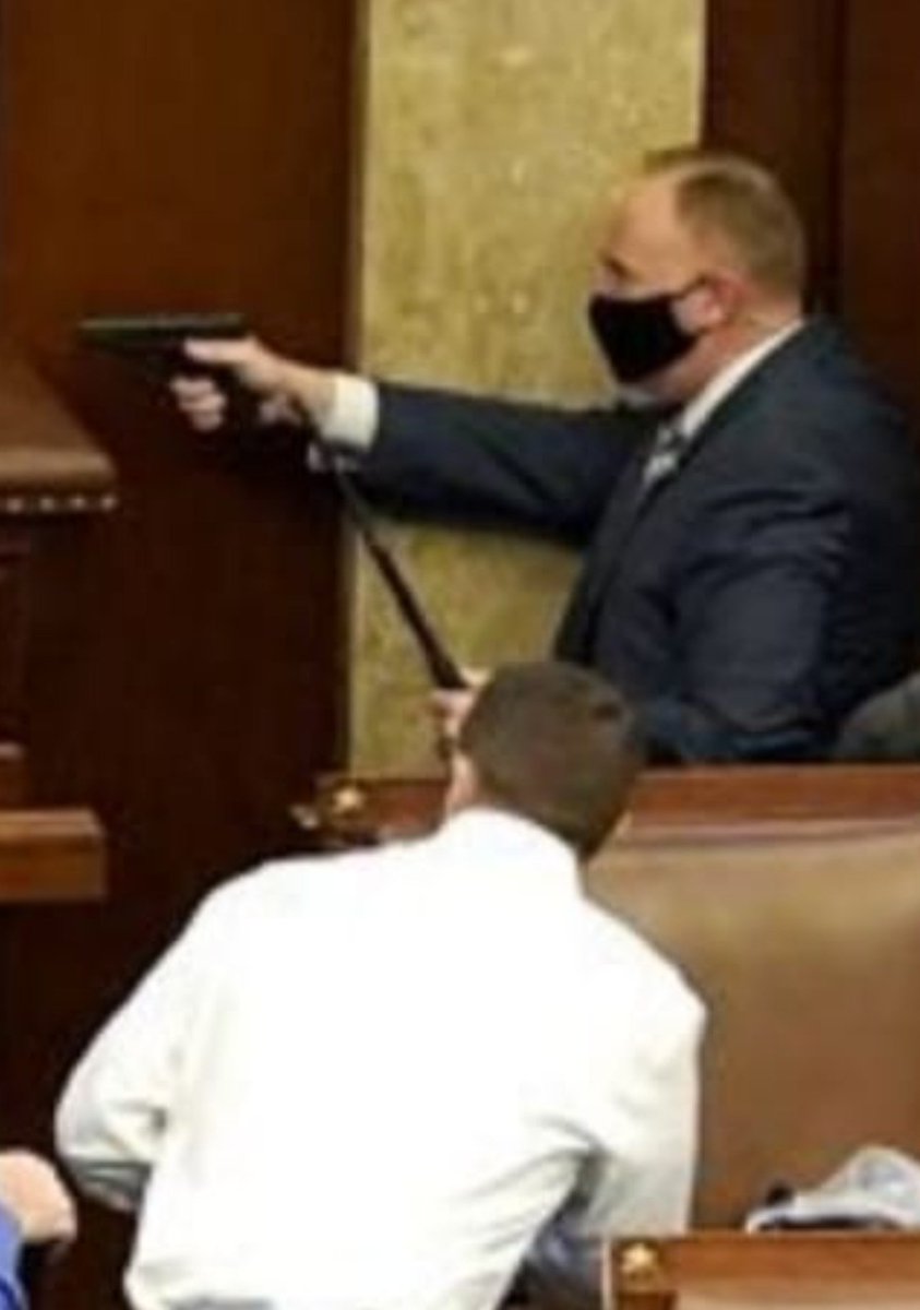 For those who hoped 2021 might bring some normality, were six days in and we've just witnessed a US Secret Service agent, defend the The Capitol building with a SIG-Sauer P229 and a magic wand....possibly Acacia Wood with a Unicorn hair core.
#capitol
#CapitolBuilding