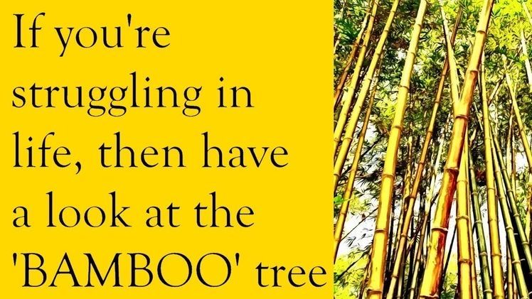 Quote of the day 

#bamboostraws#reusable#Ecofriendly#sustainable