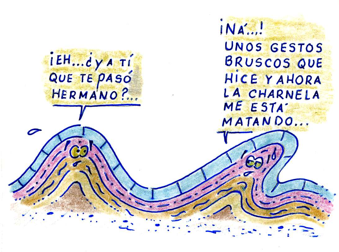 RevistaCiencia_'s tweet image. Tarde de geohumor

Por Wilmer Pérez desde Cuba

#geociencias #geohumor #geodivulgación