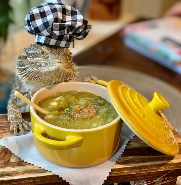 あーつ 天才シェフのトカゲが人間のために料理本を出版 フトアゴヒゲトカゲのレニーさん 1歳 が満を持して紹介する料理 の数々を収めた シェフレニー 人間のための料理 が好評 発案はワシントン州で10年間ケータリング業をしてる料理人で3人のママ あーつ 天才シェフのトカゲが人間のために料理本を出版 フトアゴヒゲトカゲのレニーさん 1歳 が満を持して紹介する料理 の数々を収めた シェフレニー 人間のための料理 が好評 発案はワシントン州で10年間ケータリング業をしてる料理人で3人のママ