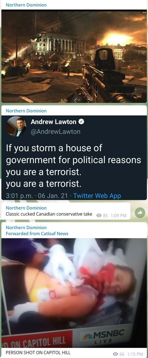 Both Northern Dominion and Canada First (formerly Proud Boys) are upset that conservative politicians are denouncing the violence while also adding some antisemitism for a bit of spice. 4/