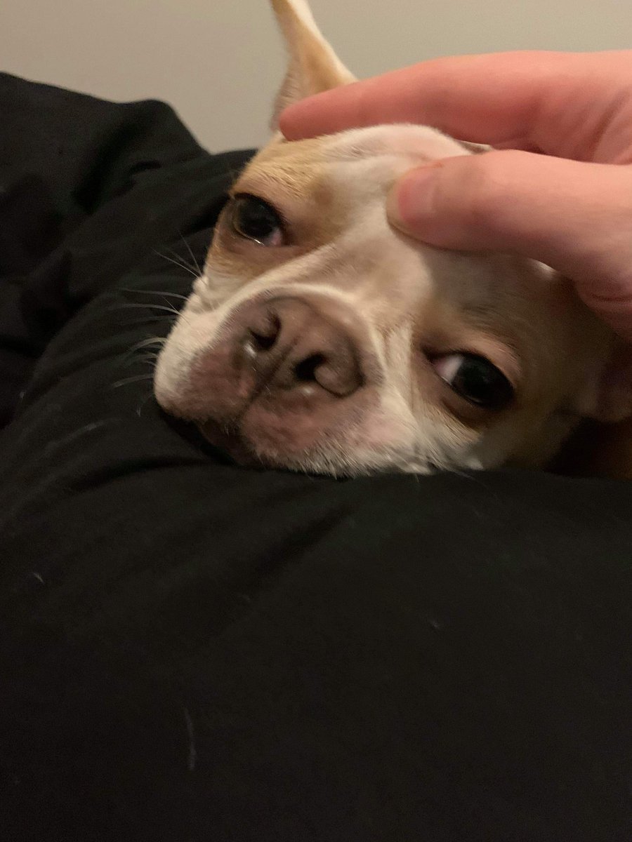 tickwid's tweet image. 