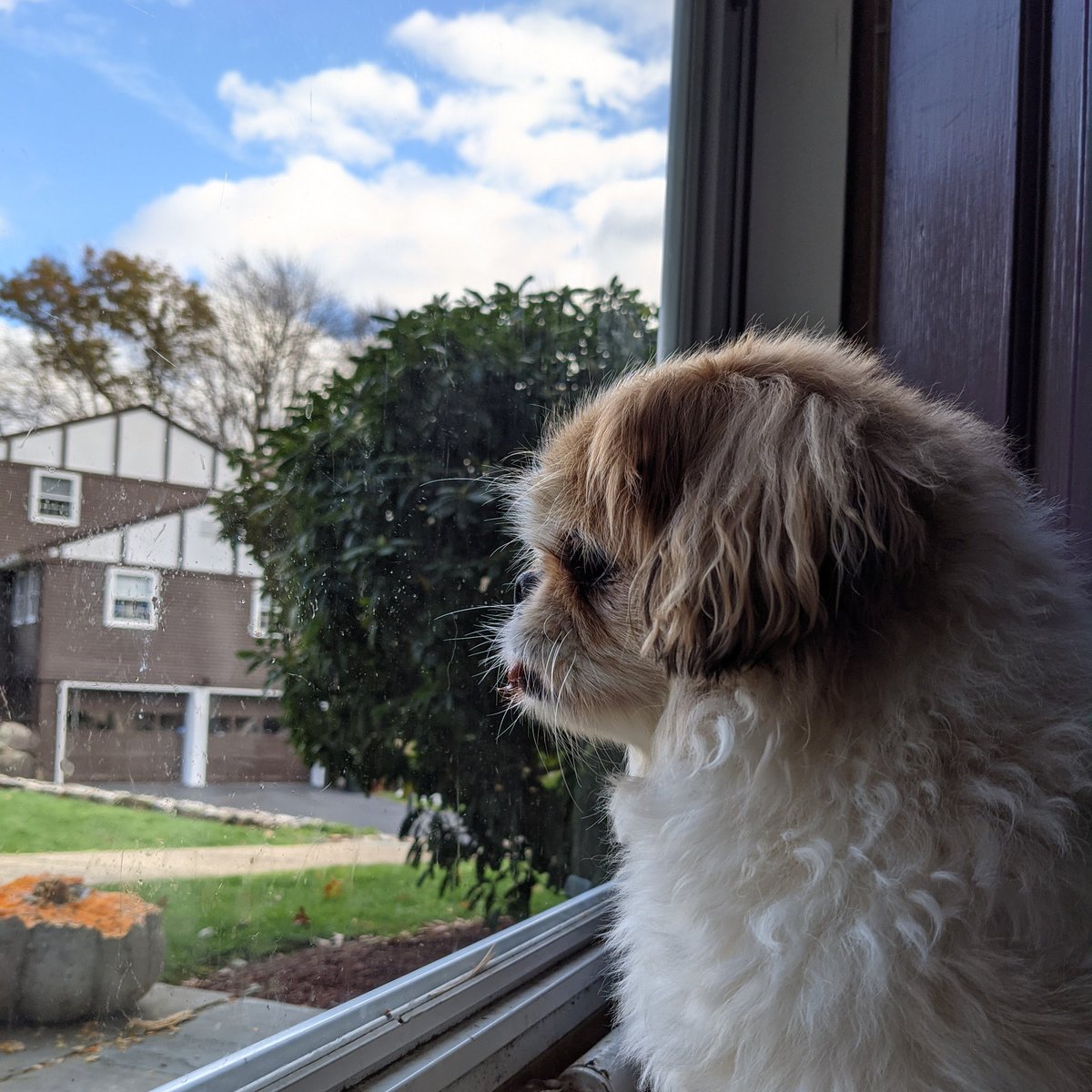 athibodeau13's tweet photo. #NewProfilePic https://t.co/MqEvPjdpLK