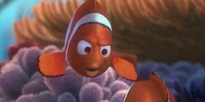 citty_garcia's tweet photo. Te crees capaz de hacer tu trabajo de dos semanas en un día, pero no es así Nemo https://t.co/HPX9rjhnO7
