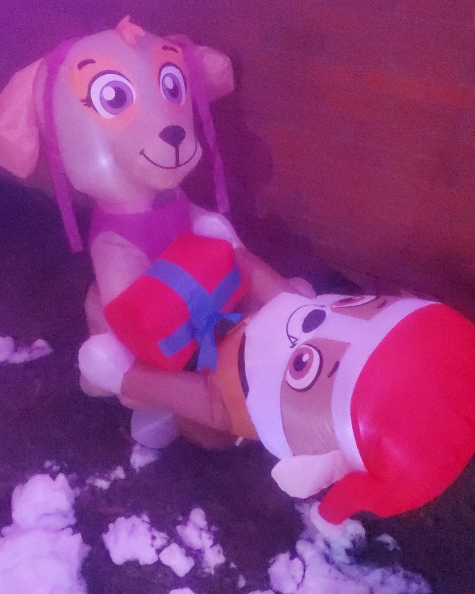 NoInsNeePodcast's tweet photo. Well....I guess we're getting more #pawpatrol puppies?!?
#puppies #dogs #dadpops #dadpopsnation #sky #rubble https://t.co/41bUzQocDF