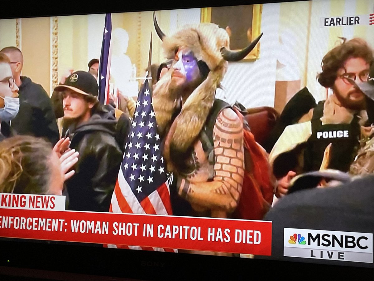 Deniseb77's tweet photo. ⁦@realDonaldTrump⁩  You should be held accountable for a woman’s death- shot by one of YOUR THUG MAGA crowd, and for the 2 explosive devices they brought in.
Resign now! #LockHimUpNow https://t.co/RCIMX0ED1d