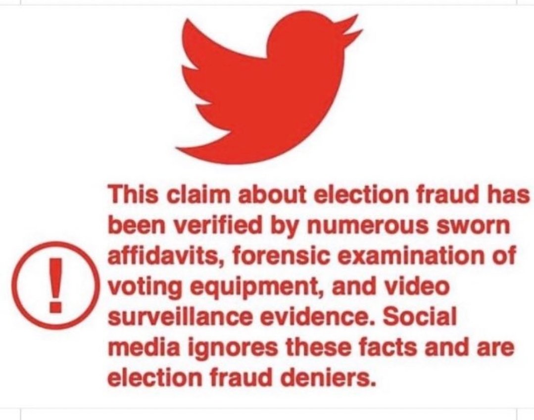 Democrats Cheated tweet media