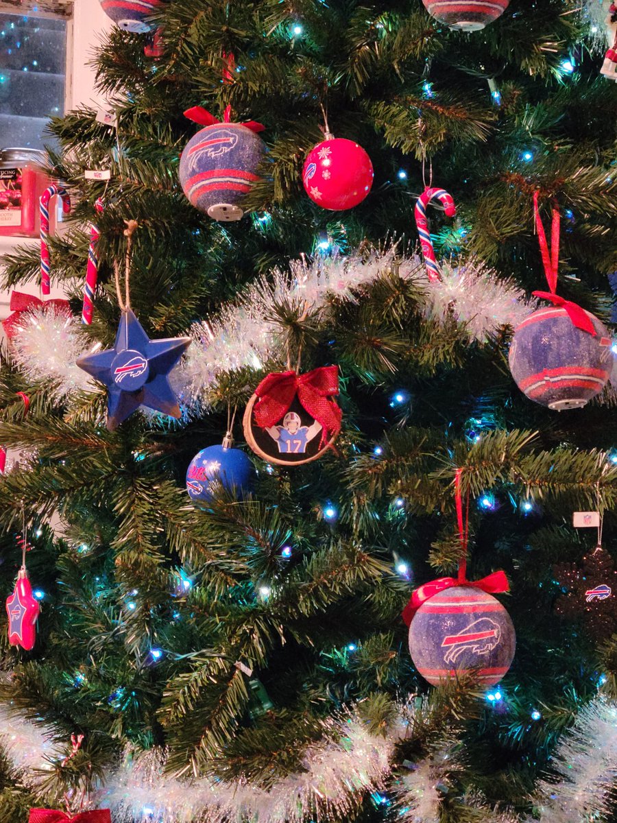 PorterPicks's tweet photo. @JoshAllenQB my sister made an ornament of you will have to mail one to the stadium for you #GoBills #buffalobills #billsmafia https://t.co/sfcId50bEU